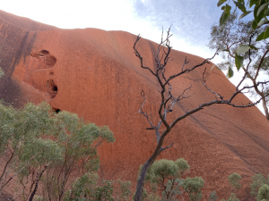 Woma Pythons Tjukurpa displayed on Uluru