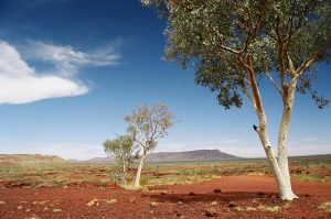 Pilbara Landscape WA