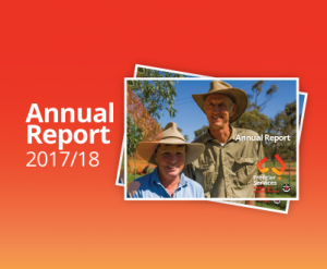 Annual Report - 2017/18