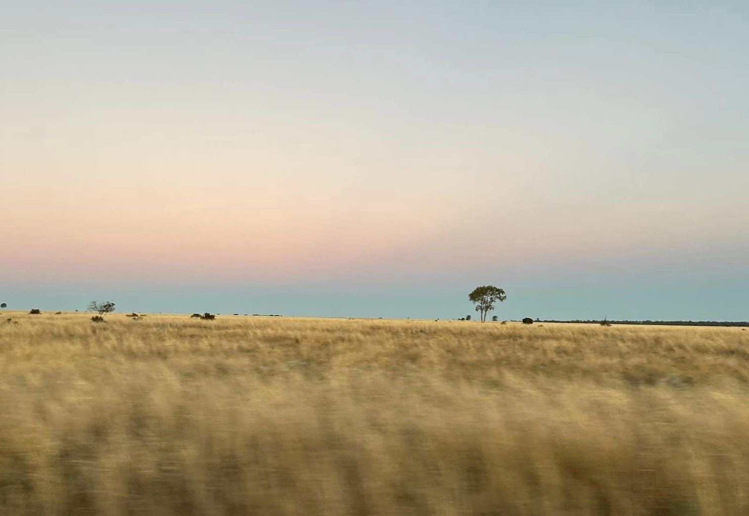 Unique challenges of domestic violence in the bush